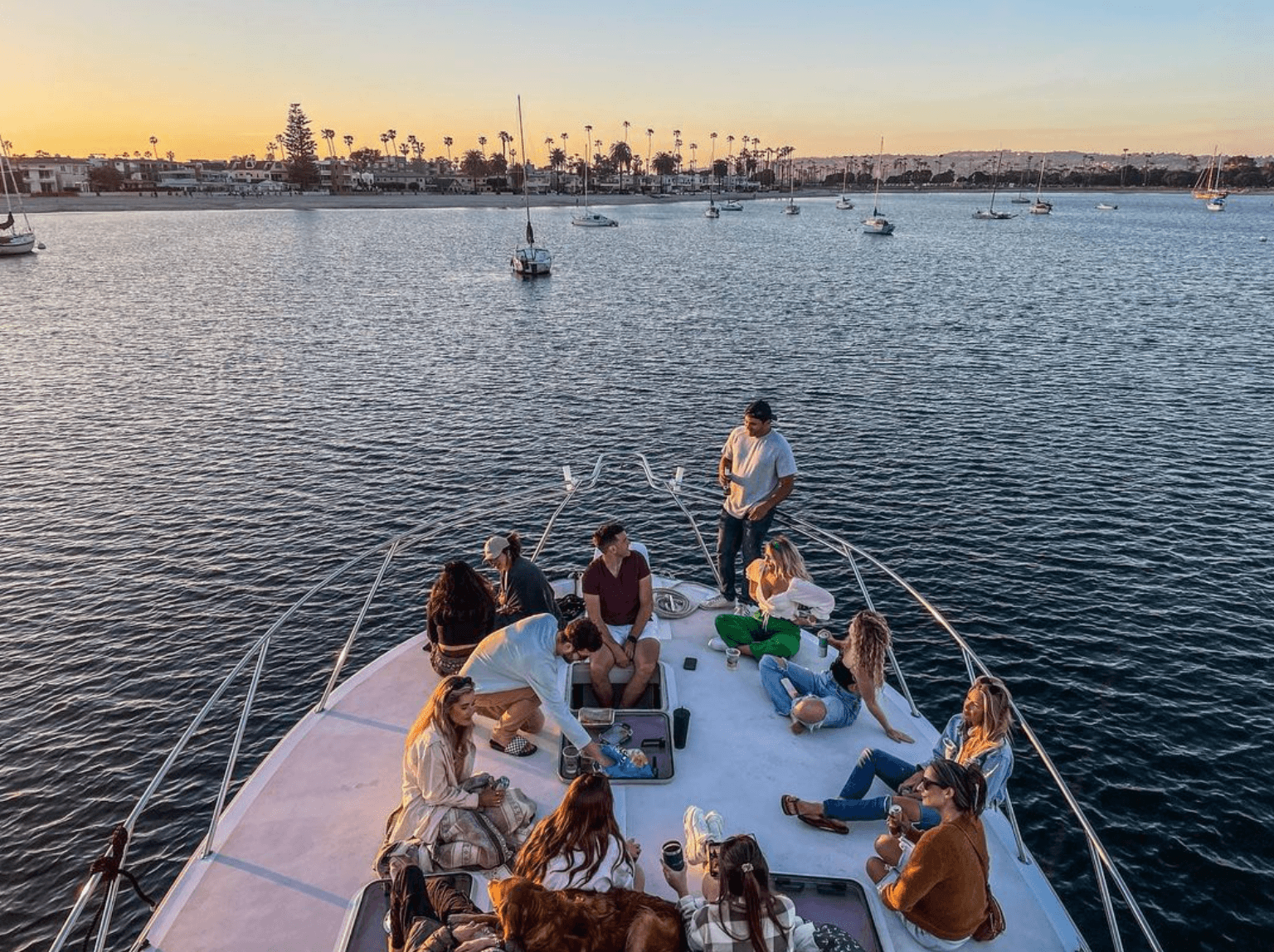 Plan Your Bay Cruise Aboard Bluebill Charters