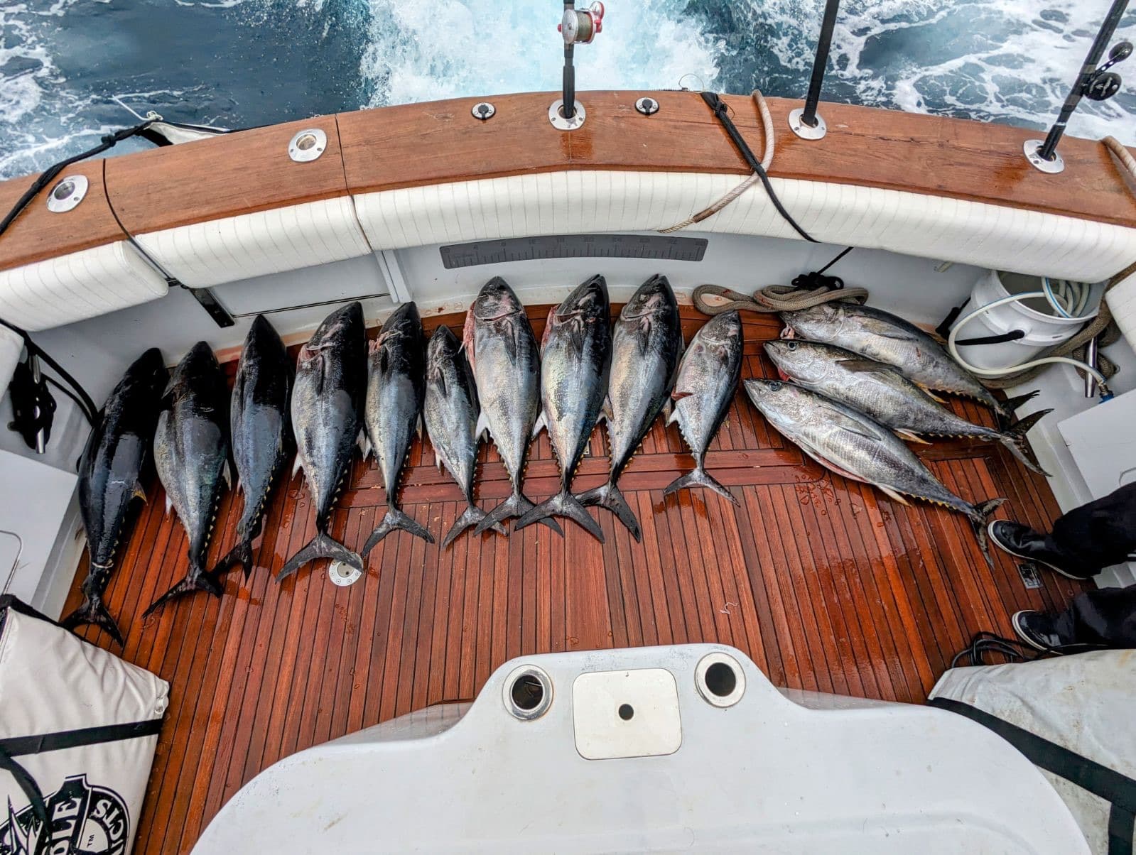 San Diego Offshore Fishing Is Heating Up