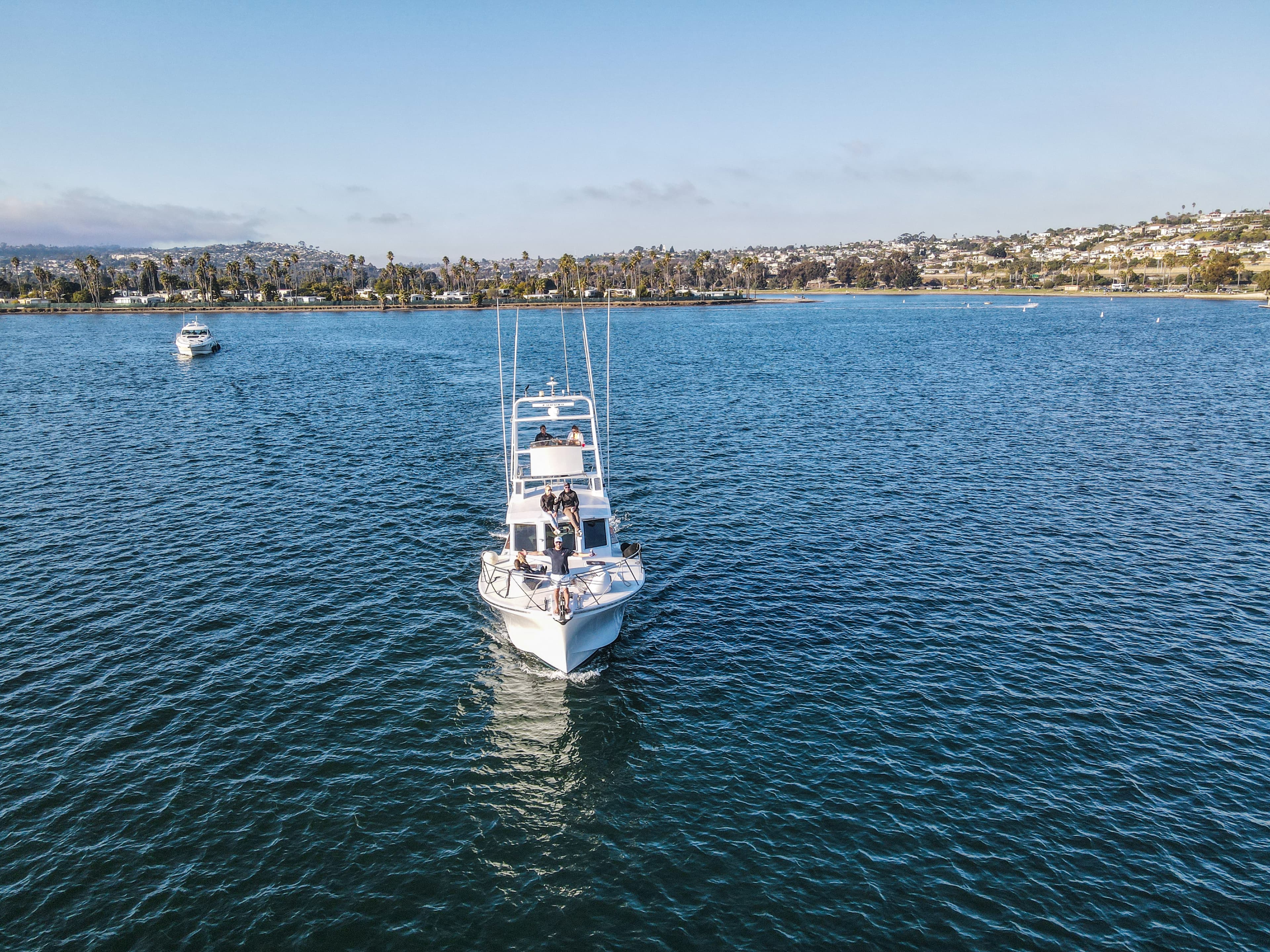 Ultimate Guide to Booking Bay Day Trips