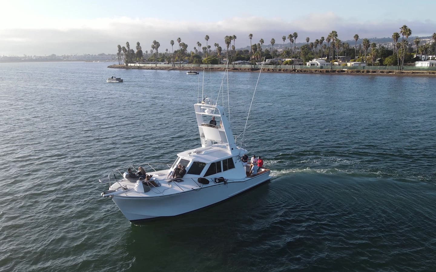 Aerial view of Bluebill underway along the palm-lined shoreline