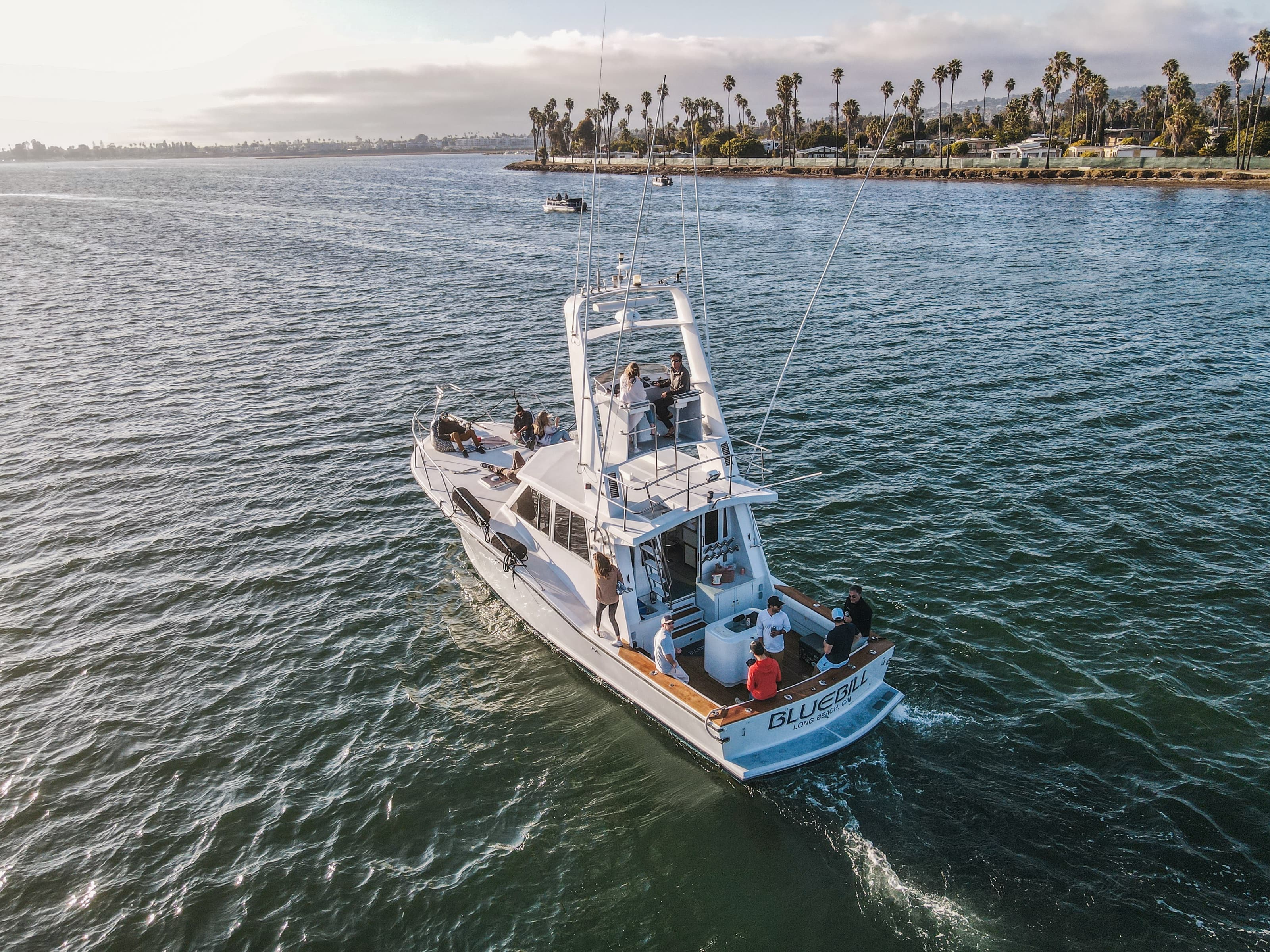 Aerial of Bluebill underway, her name on the transom, palms lining the shore
