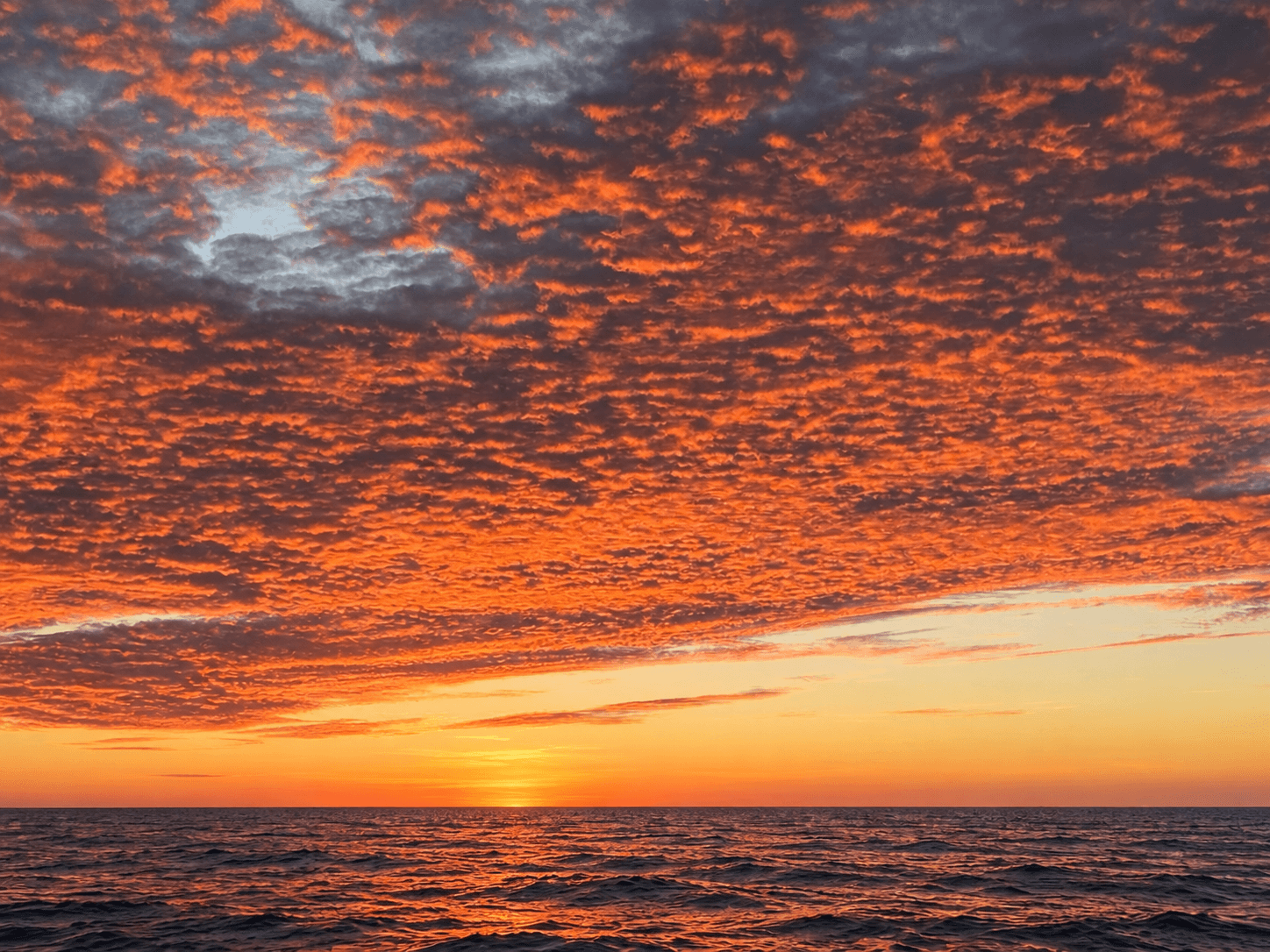 What Makes September Sunsets in San Diego So Beautiful?